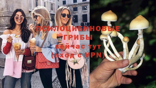 спайс Верея