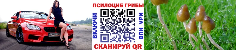 нарко площадка как зайти  Высоцк  Галлюциногенные грибы GOLDEN TEACHER  где купить наркоту 